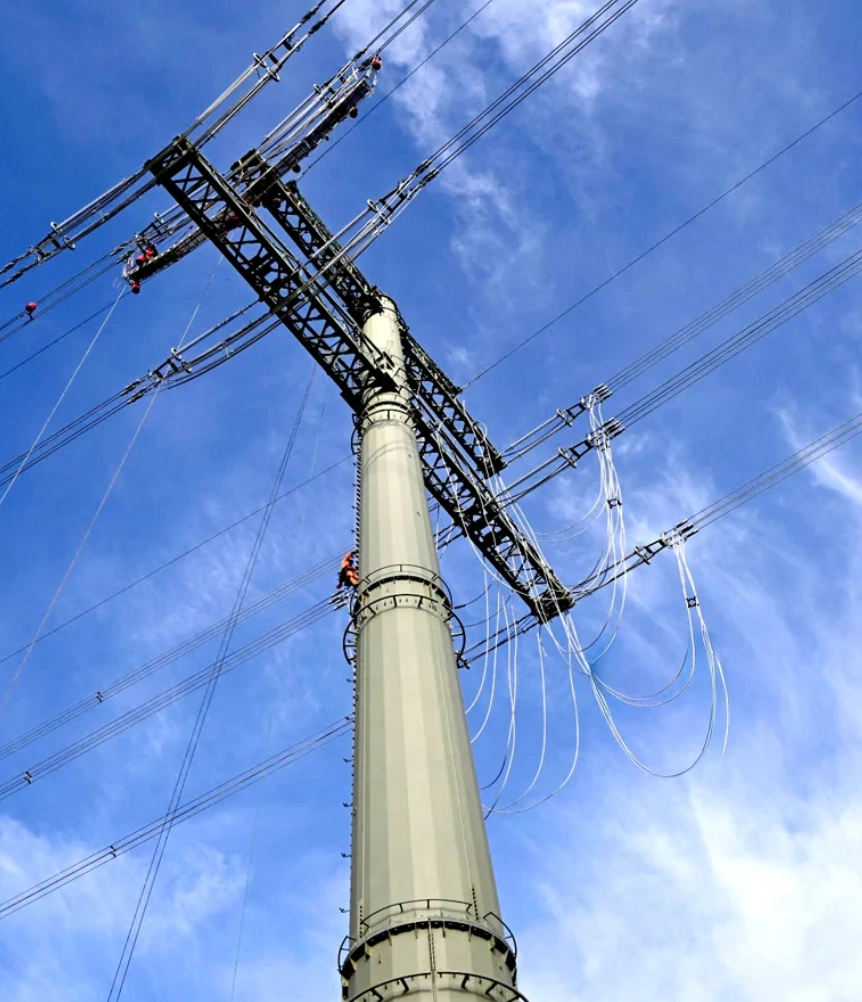Supply of 115 kV, 61 Poles with Designs Delivered Within Compressed Schedule, Canada